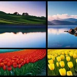 어깨 통증 한방치료 사례 - Here are three detailed image generation prompts in English, designed to be age-appropriate and alig...