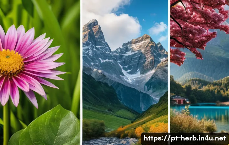 한방병원에서 사용하는 약재 - Here are three detailed image prompts in English, adhering to your guidelines: