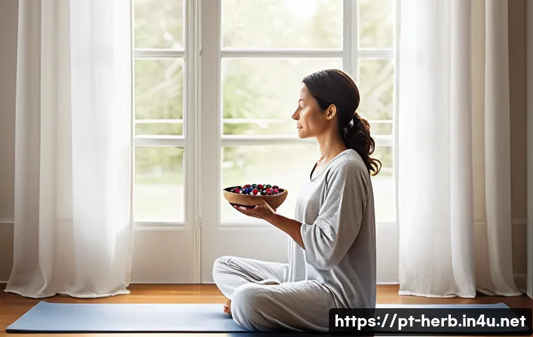 갱년기 불면증 한방 치료법 관련 이미지 2